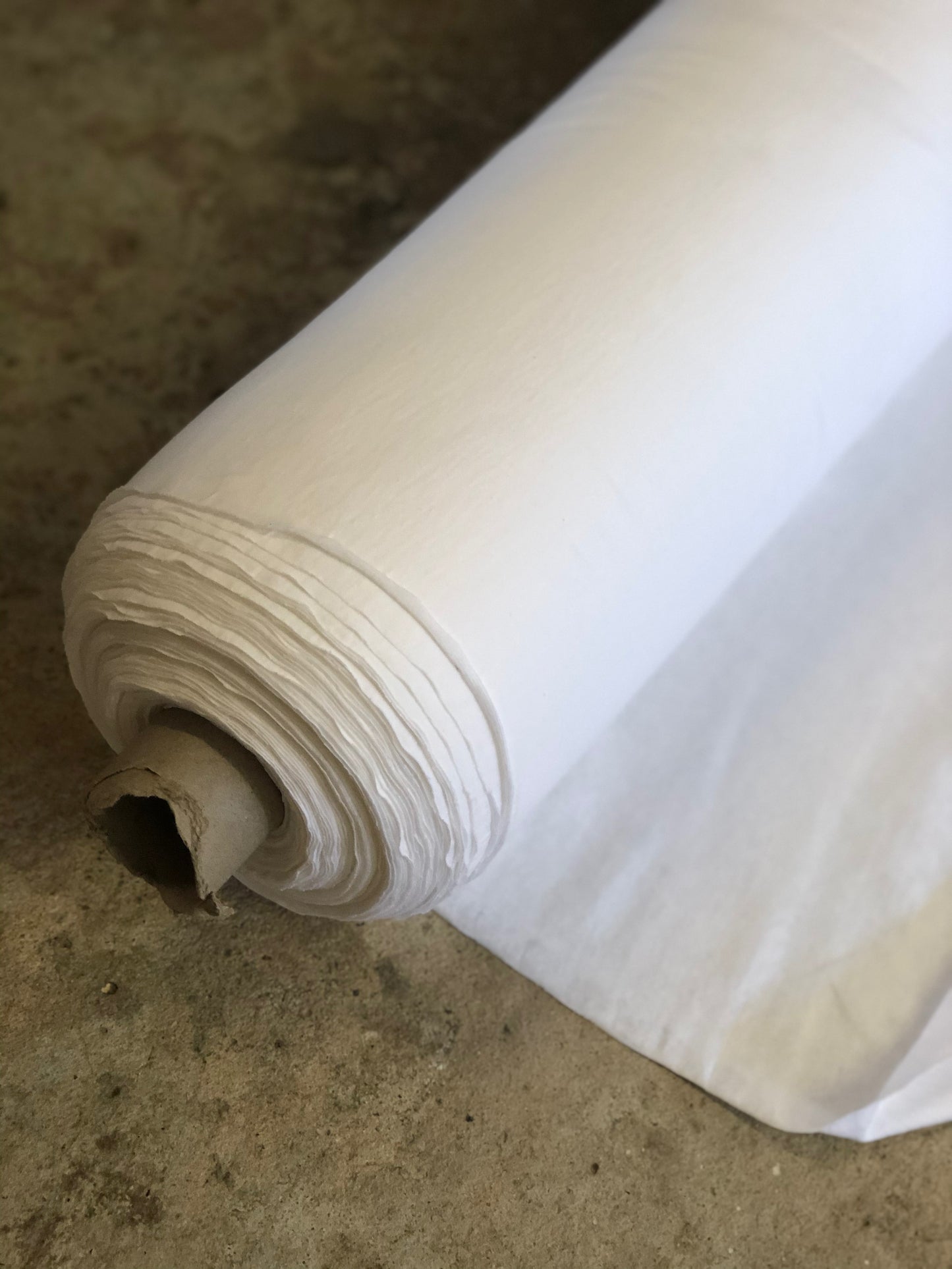 Australian Grown + Milled Cotton Jersey, White - $24 per/m